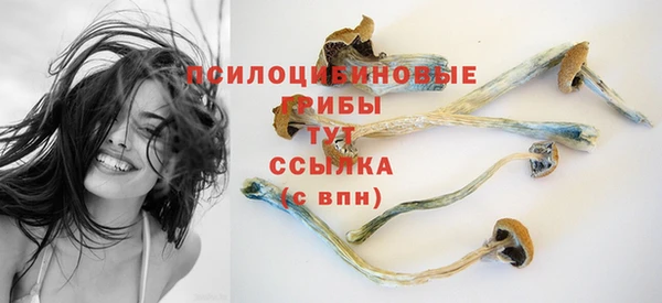 эйфоретик Арсеньев