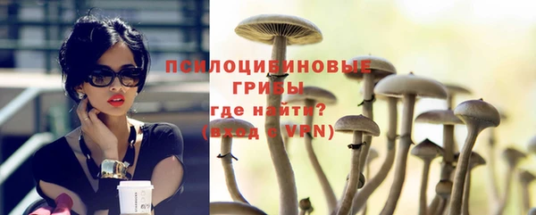 эйфоретик Арсеньев