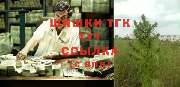эйфоретик Арсеньев
