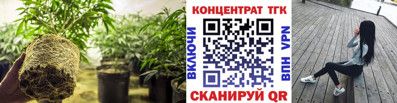 ТГК вейп с тгк  сайты даркнета состав  Плавск 