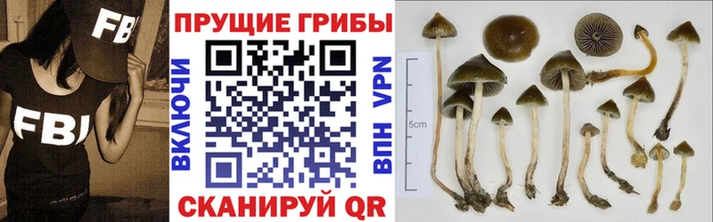 Галлюциногенные грибы Psilocybe  omg ONION  Плавск 